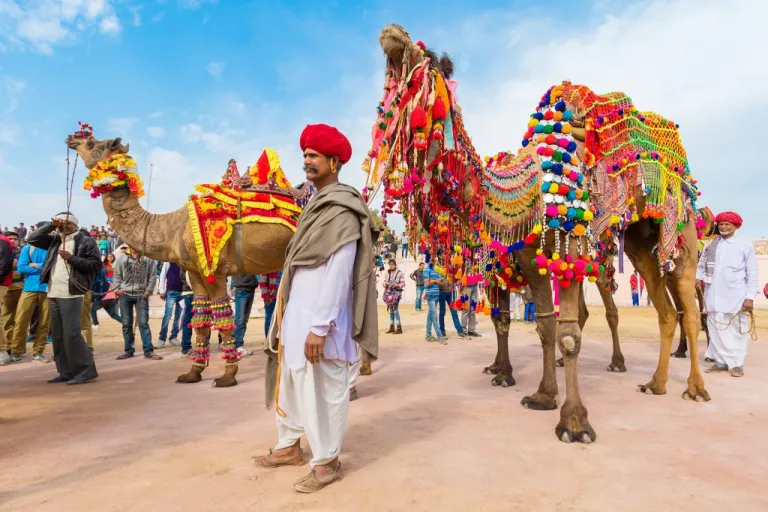 Pushkar, Rajasthan, The World-Famous Camel Fair