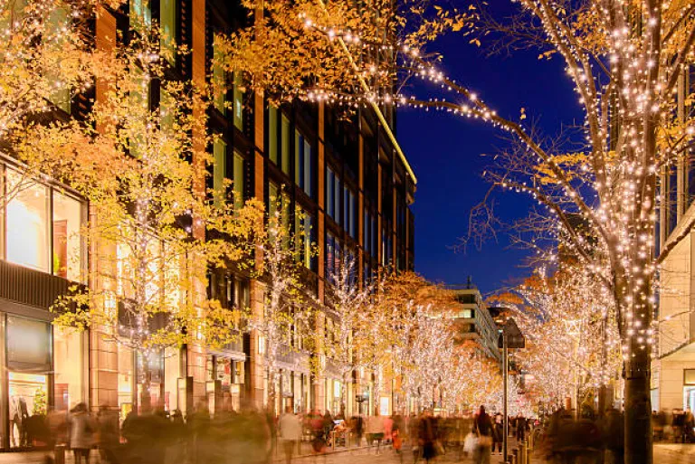 Tokyo, Japan, Winter Illuminations