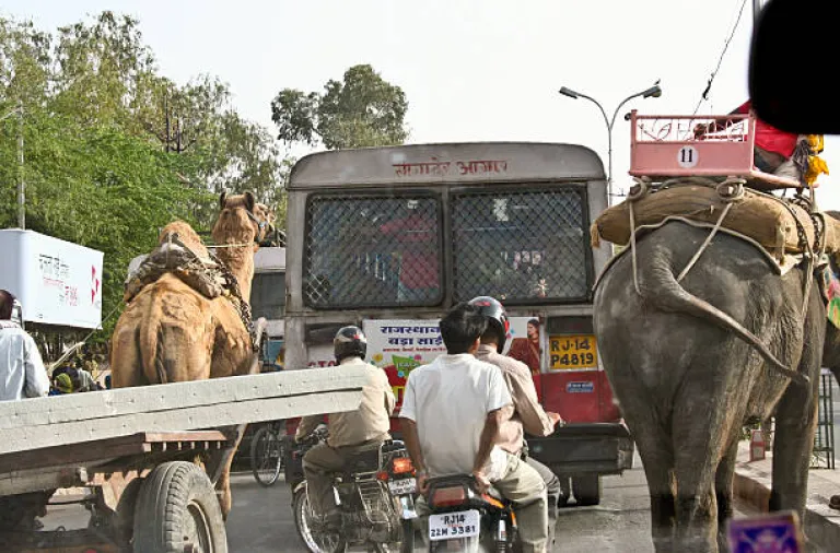 Traffic Jam, Jaipur