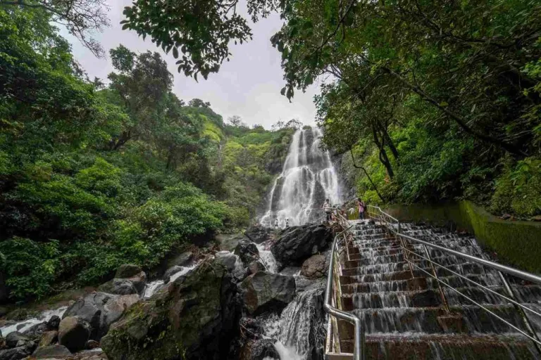 Amboli