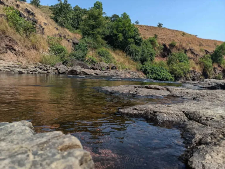 Radhanagari Wildlife Sanctuary, Kolhapur
