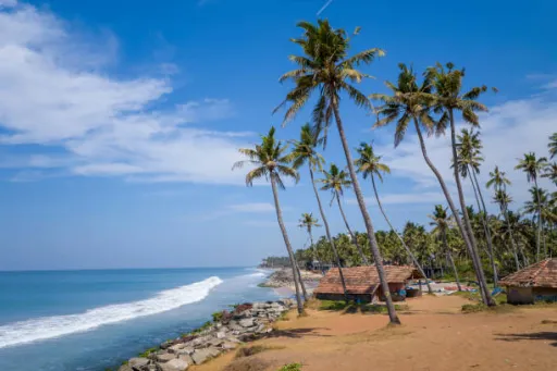 image for article Top 10 Instagrammable Nature Spots in Varkala