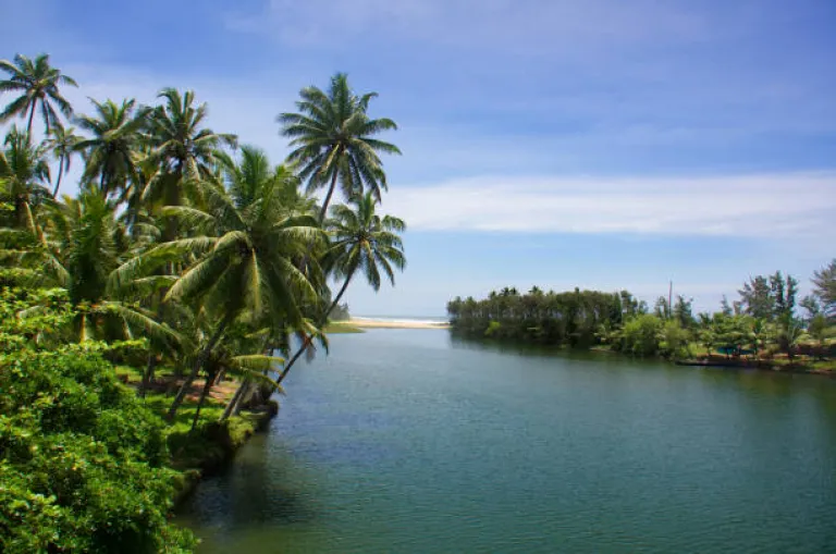 Kappil  Backwaters, Varkala 