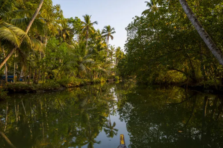 Edava Backwaters