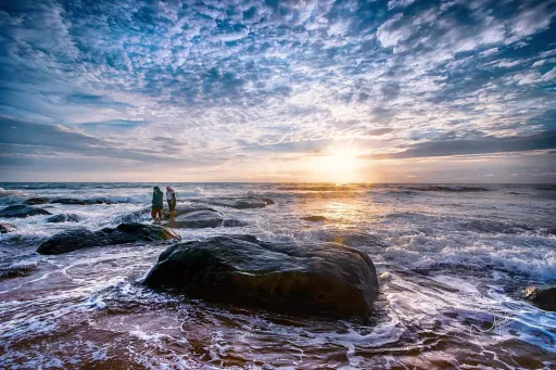 image for article Top 10 Instagrammable Nature Spots in Chennai