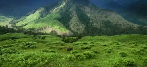 image for article 8 Monsoon-End Treks from Bengaluru to Explore This October