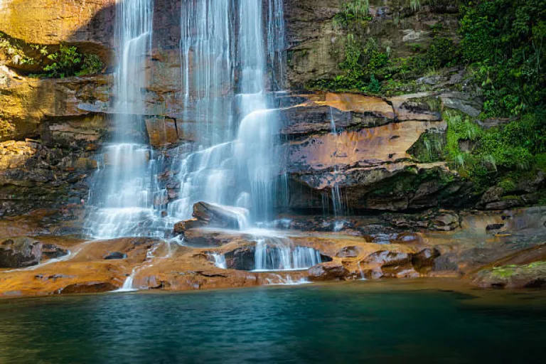 A Nature Lover&rsquo;s Reverie