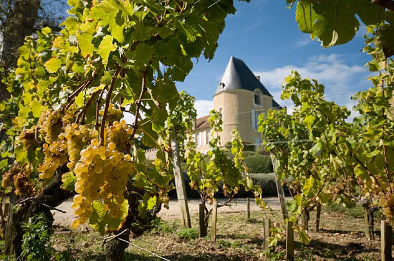 Bordeaux