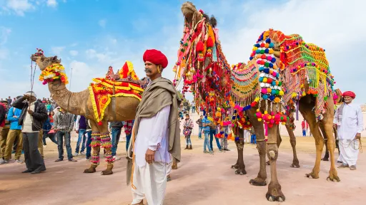 image for article How to Plan Your Rajasthan Itinerary to Enjoy the Best of Everything 