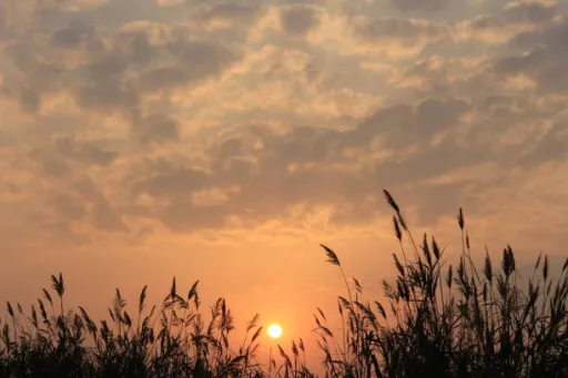 image for article Arunachal Pradesh Sun Rise Festival - Everything You Need to Know