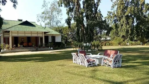 image for article 5 Budget Tea Garden Stays in Assam Under ₹2500 