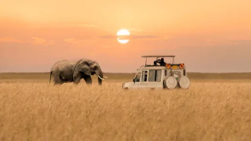 image for article 7 African Safari Destinations for Indian Budget Travelers in 2025