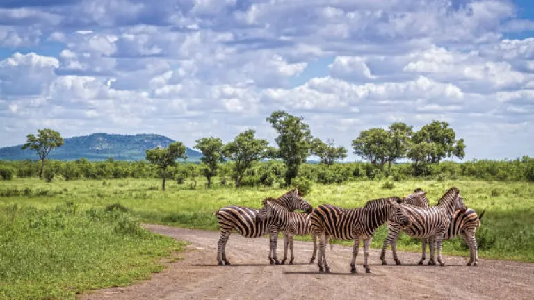 Kruger National Park, South Africa