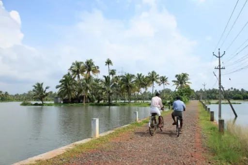 image for article 5 Beginner-Friendly Cycling Routes in the Kerala Backwaters