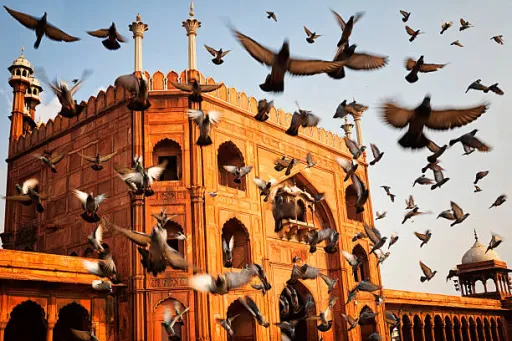image for article 5 Heritage Walks in Old Delhi You Can Do This Weekend