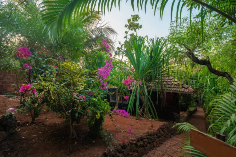 Suhasini Eco Retreat, Goa