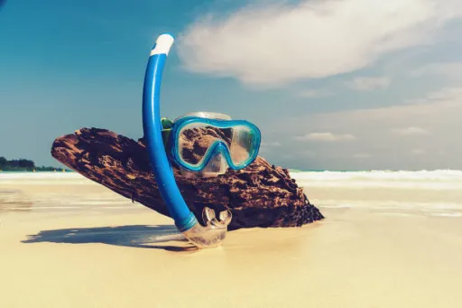 image for article 7 Unexplored Islands in Andaman Nicobar for Snorkeling Lovers