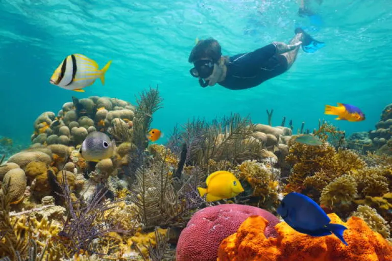 Snorkeling in Little Andaman