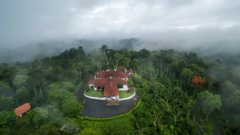 Tata Coffee plantation