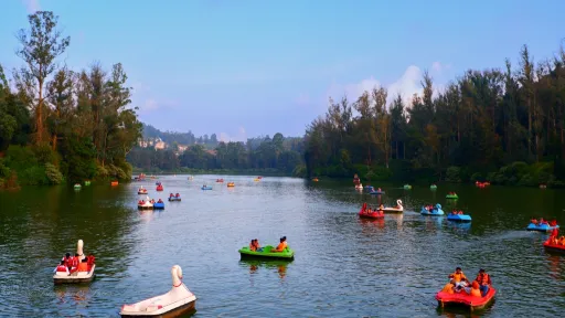 image for article 7 Romantic Things to Do in Ooty in 2 Days for Couples in Winter