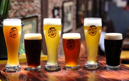 image for article Top 7 Craft Beer Breweries in Bangalore with Tasting Tours