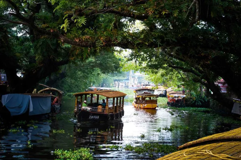 Vembanad Floating Market