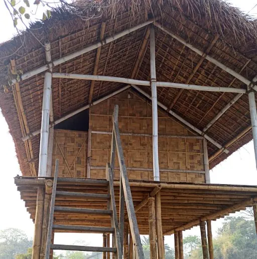 image for article 5 Bamboo Cottages in Assam with Tea Estate Views Under ₹3500