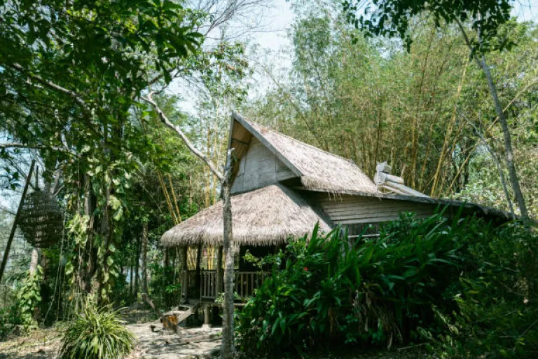  Bamboo Cottage