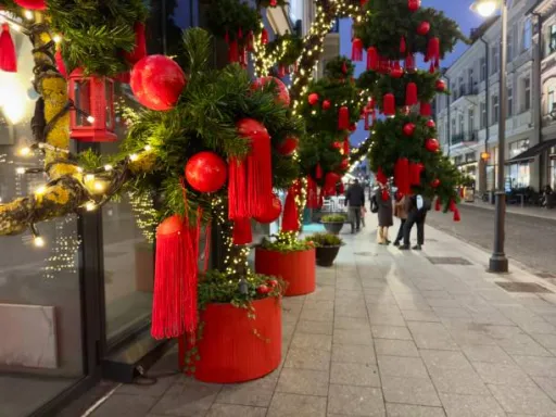image for article 5 Festive Street Decorations in Shillong This December