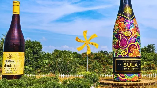 image for article 5 Underground Wine Cellars in Nashik To Visit In 2026