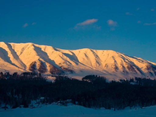 image for article First snowfall of the season in Gulmarg