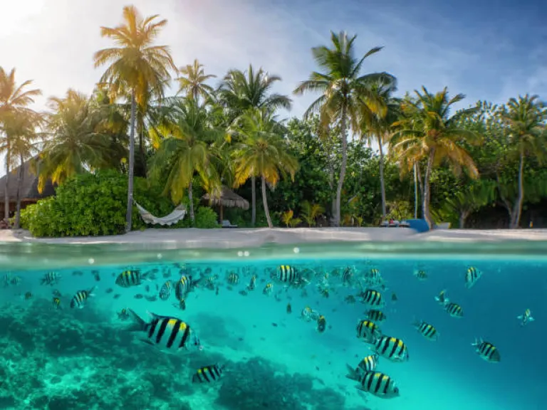 Seychelles Seychelles