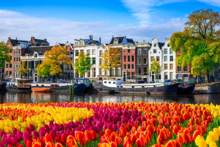 Netherlands Netherlands