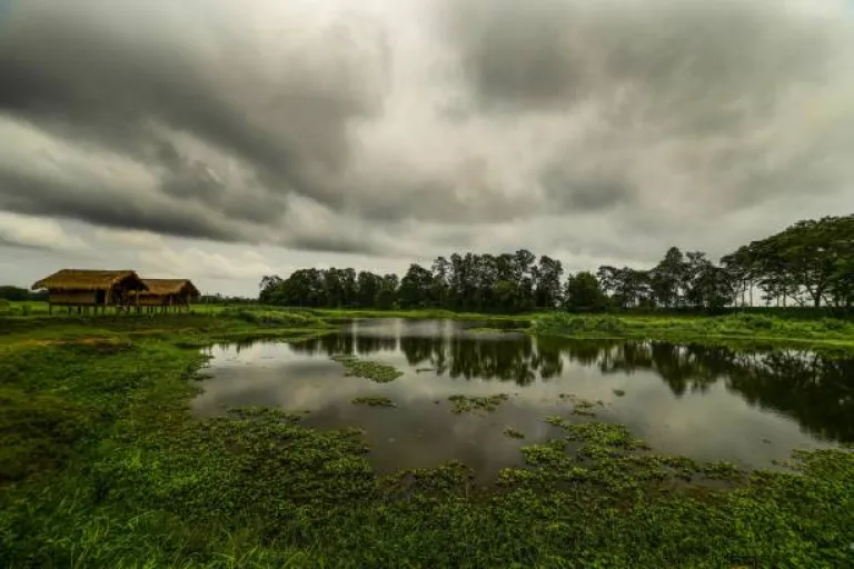 Majuli Majuli