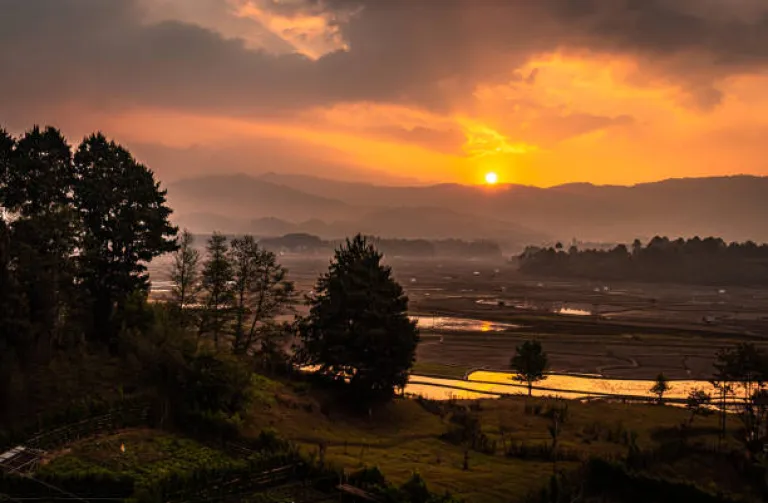 Ziro Valley