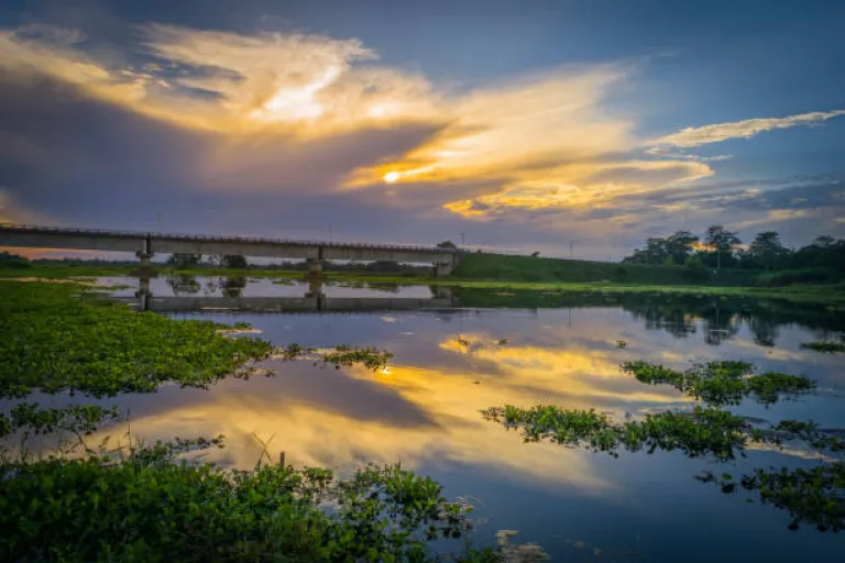 Majuli