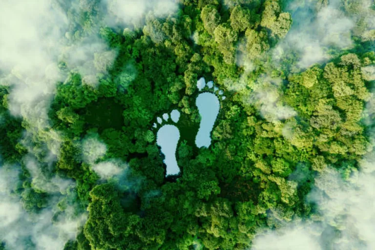 Sustainable Travel Is Becoming Non-Negotiable