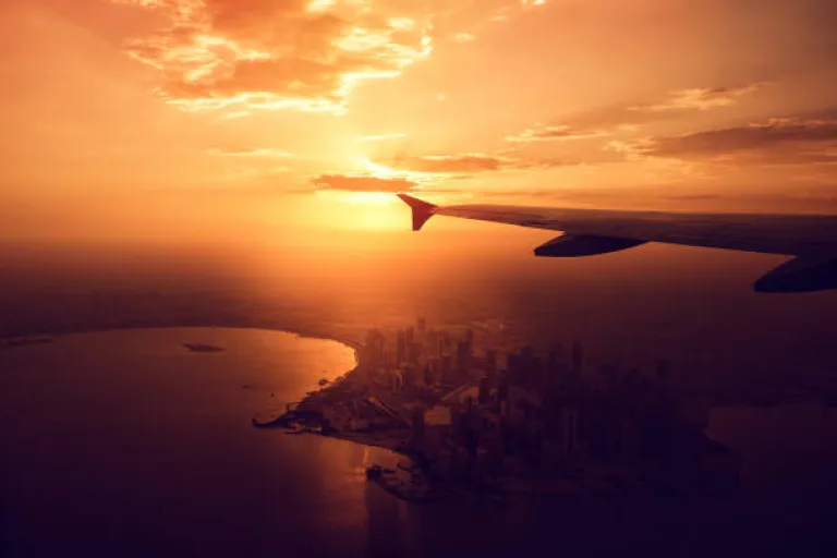 The Evolution of Flying