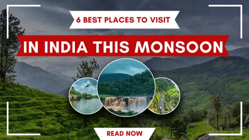 image for article 6 Best Places to Visit in India This Monsoon