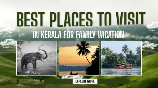 image for article Best Places to Visit in Kerala for Family Vacation