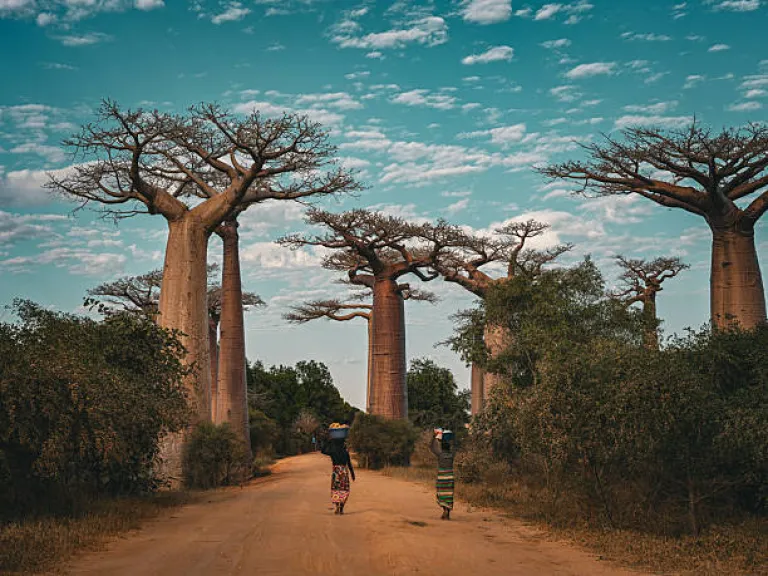 Madagascar
