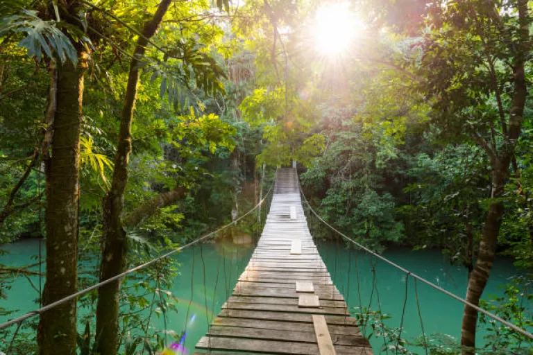 Nature Escapes Nature Escapes