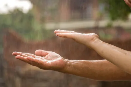 image for article 7 Best Monsoon Destinations in India for 2026