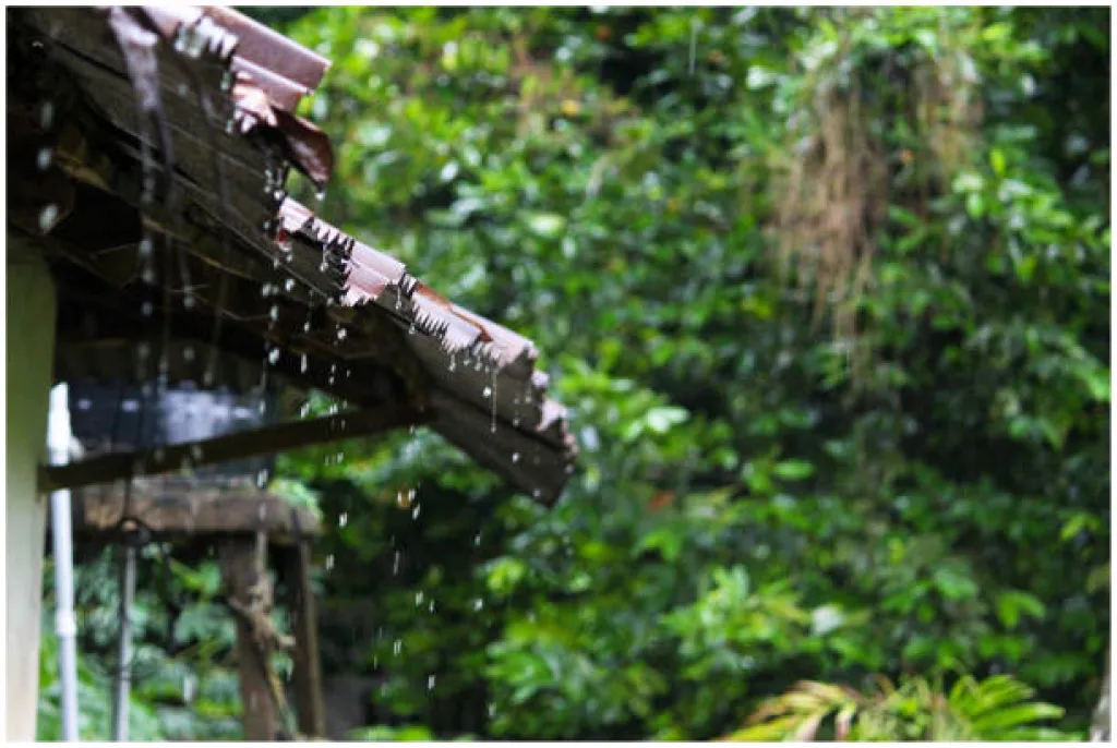 7 Best Monsoon Destinations in India for 2026