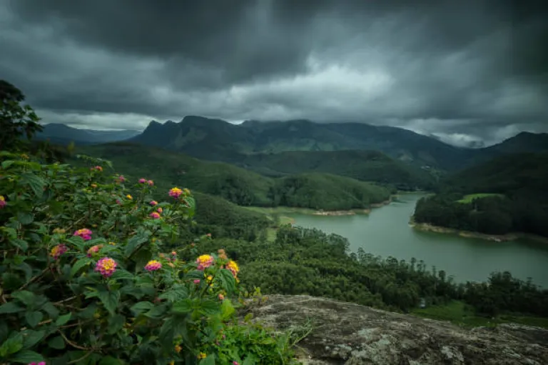 Munnar in Monsoon