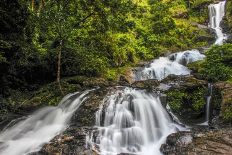 Coorg in Monsoon