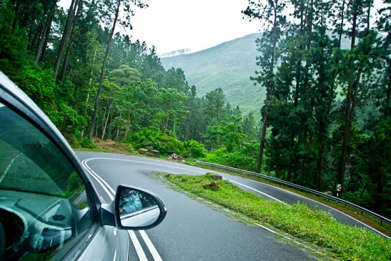 Road Trips