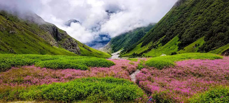 Valley of Flowers, Uttarakhand Valley of Flowers, Uttarakhand
