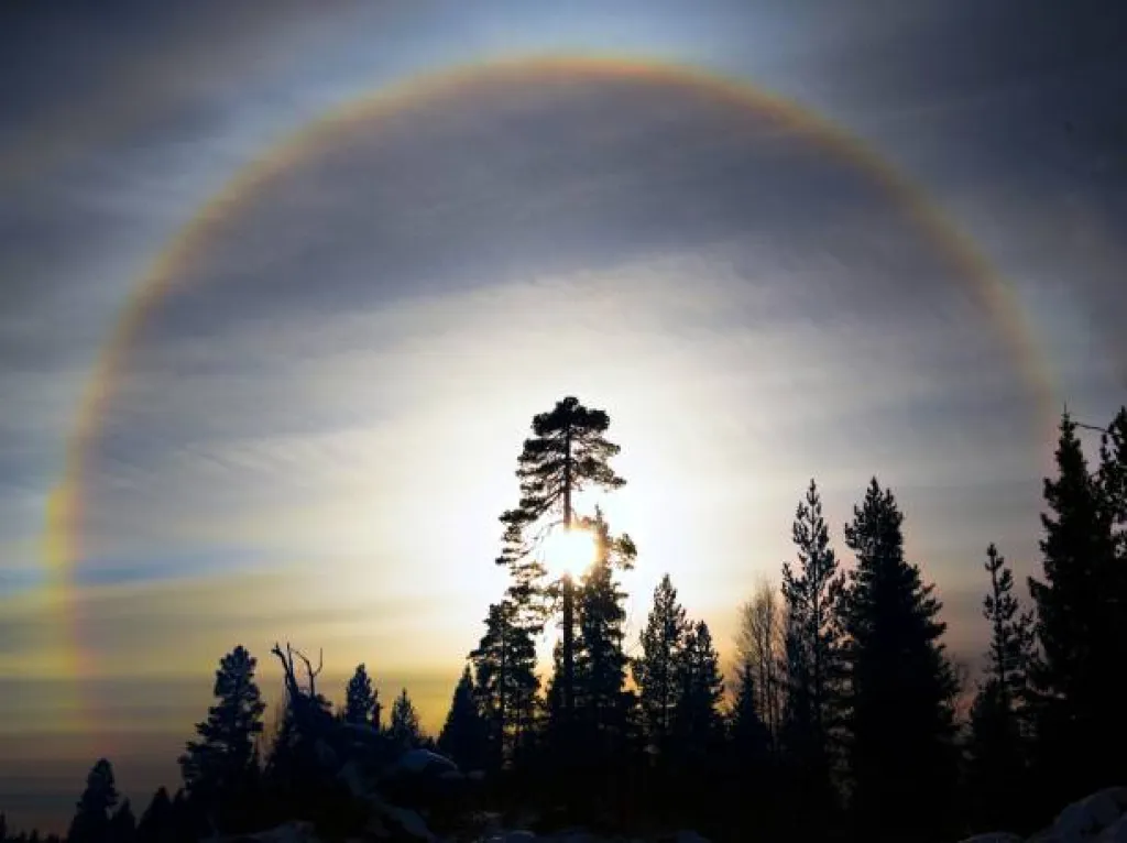 Top 6 Places in India to Witness Rare Natural Phenomena			