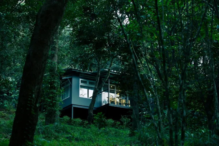 Wayanad Wild by CGH Earth, Kerala Wayanad Wild by CGH Earth, Kerala